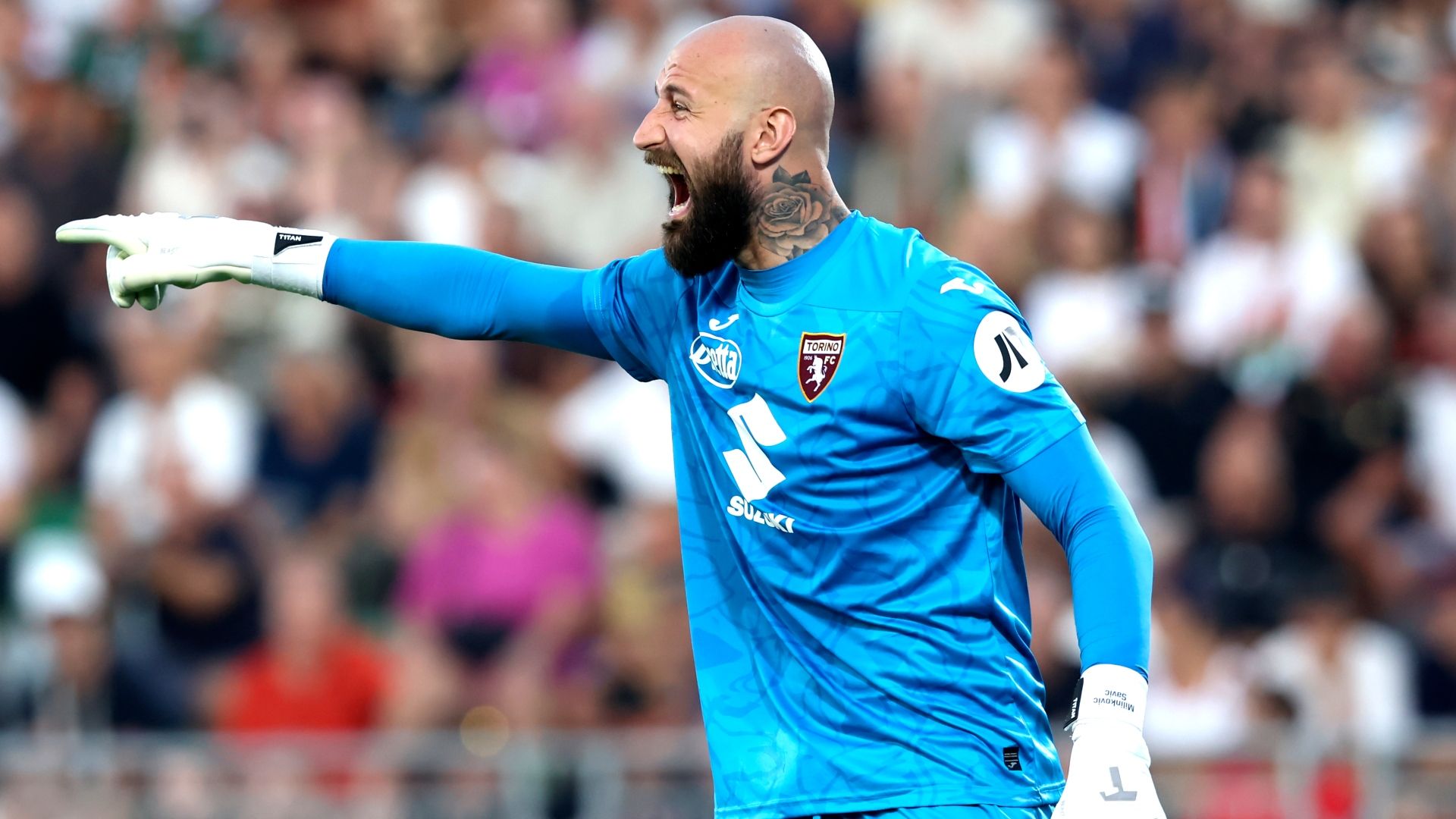 Vanja Milinkovic-Savic Torino