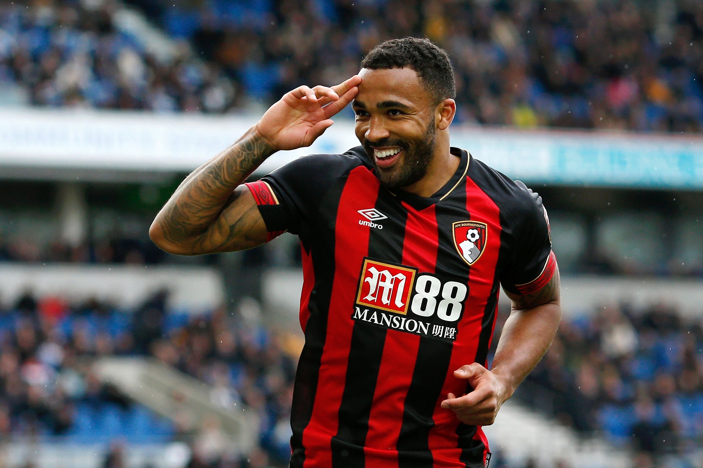 Callum Wilson - Bournemouth 2019