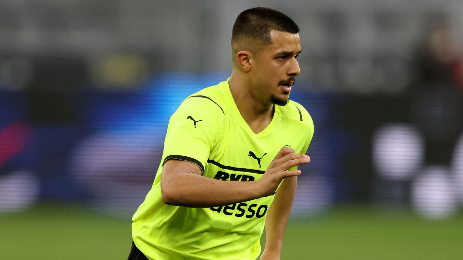 LION SEMIC BORUSSIA DORTMUND