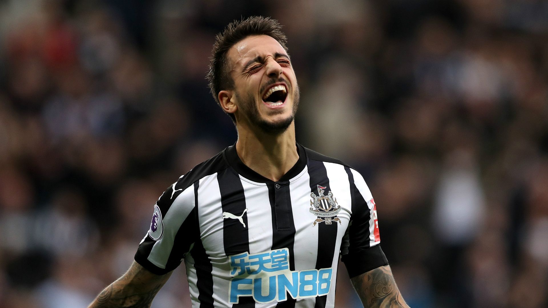 Joselu Newcastle