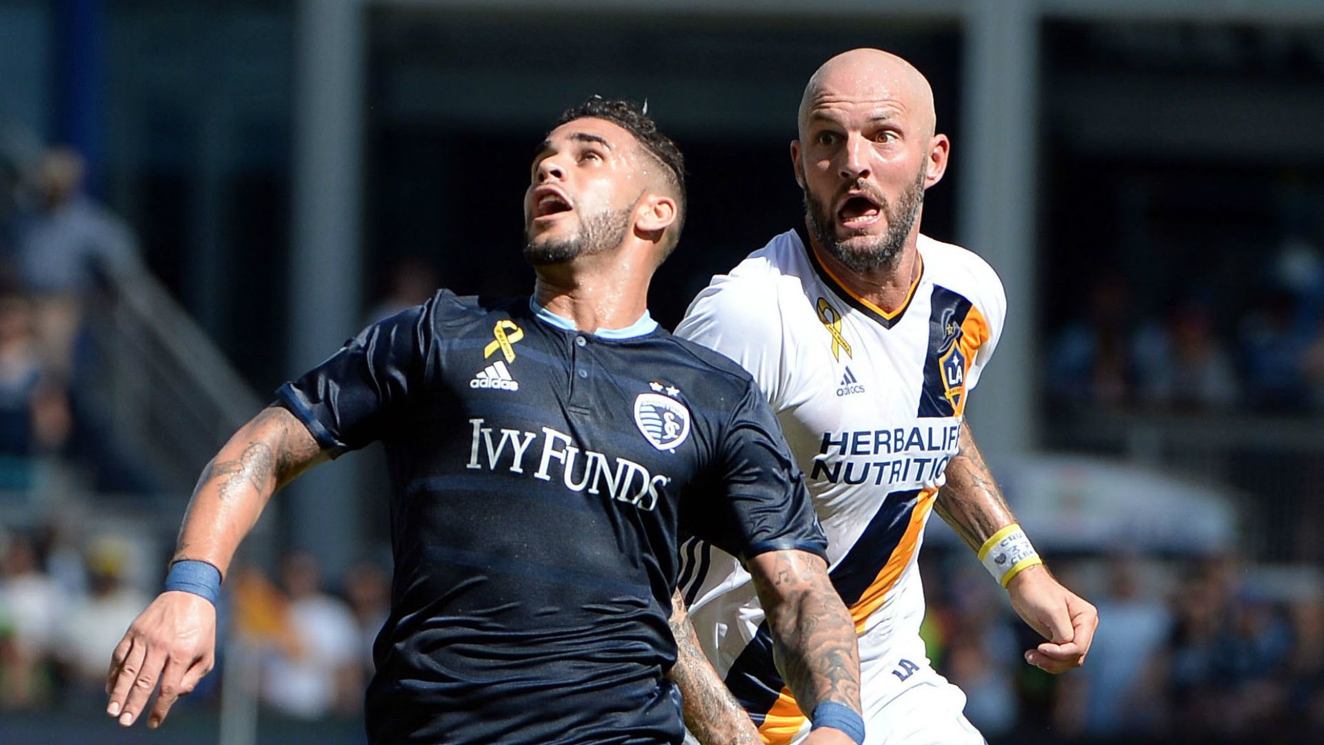 Dom Dwyer Jelle van Damme 09182017