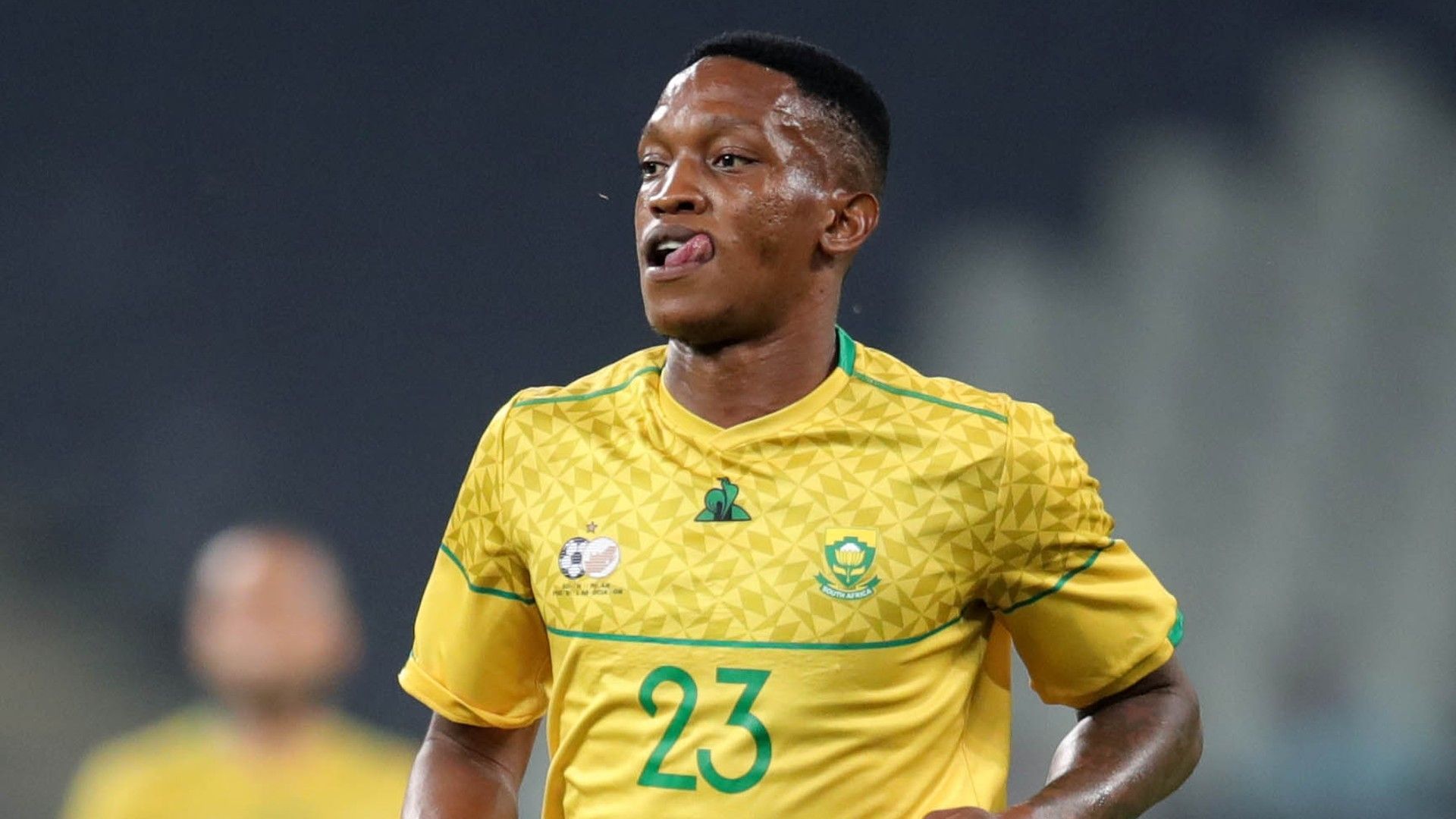 Grant Kekana, Bafana Bafana, November 2022