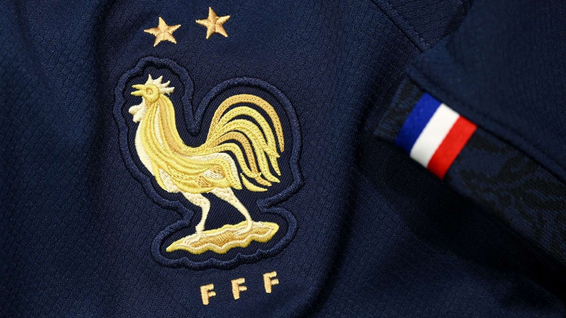 França galo France 2022