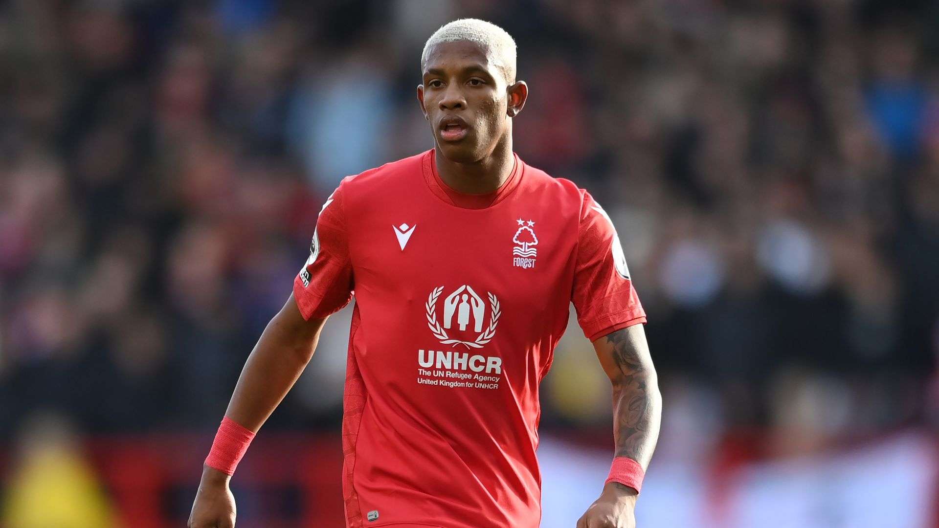 Danilo, Nottingham Forest 2022-23