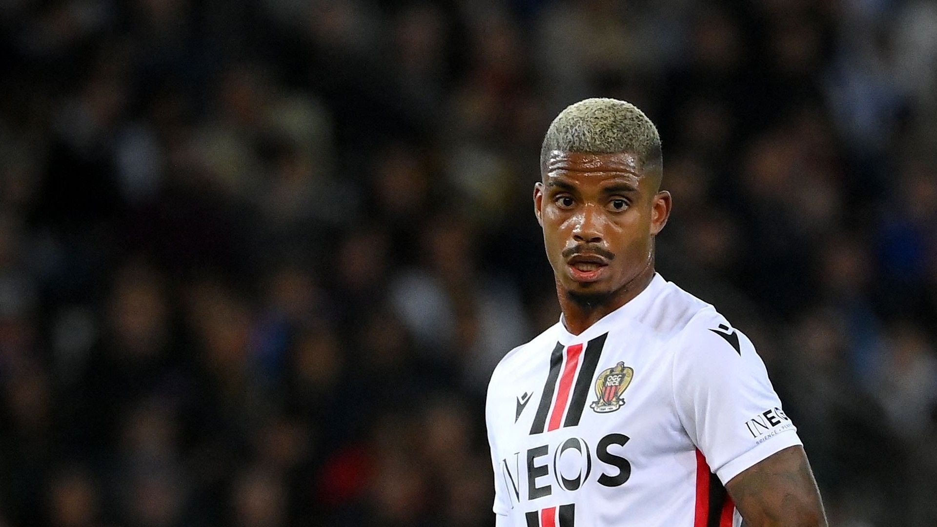 lemina