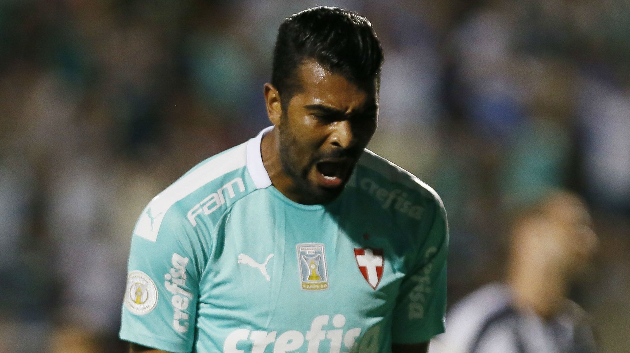 Thiago Santos Botafogo Palmeiras Brasileirão 12 10 2019