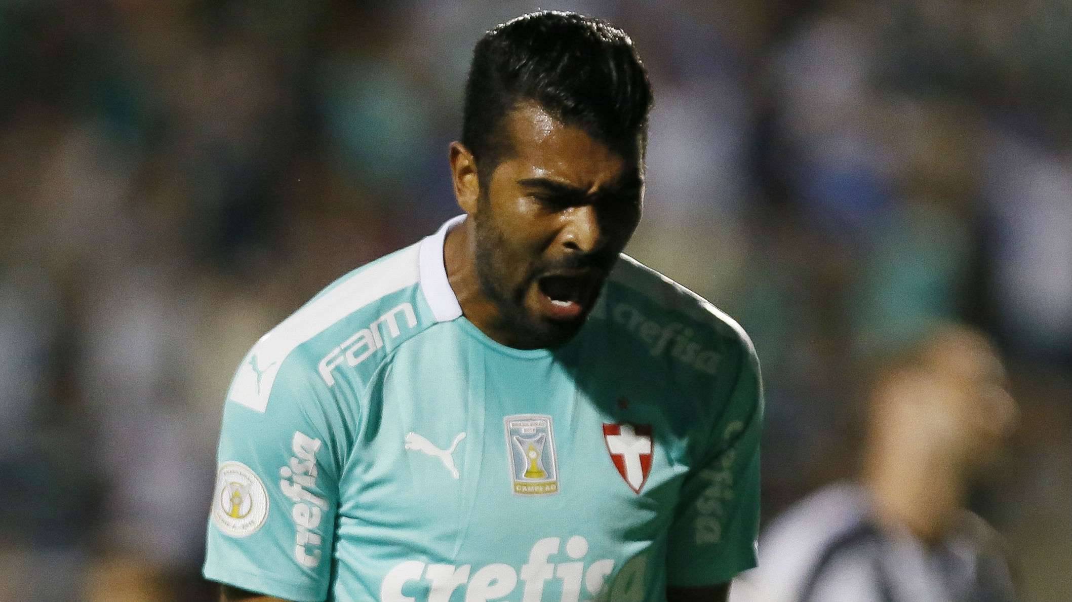 Thiago Santos Botafogo Palmeiras Brasileirão 12 10 2019