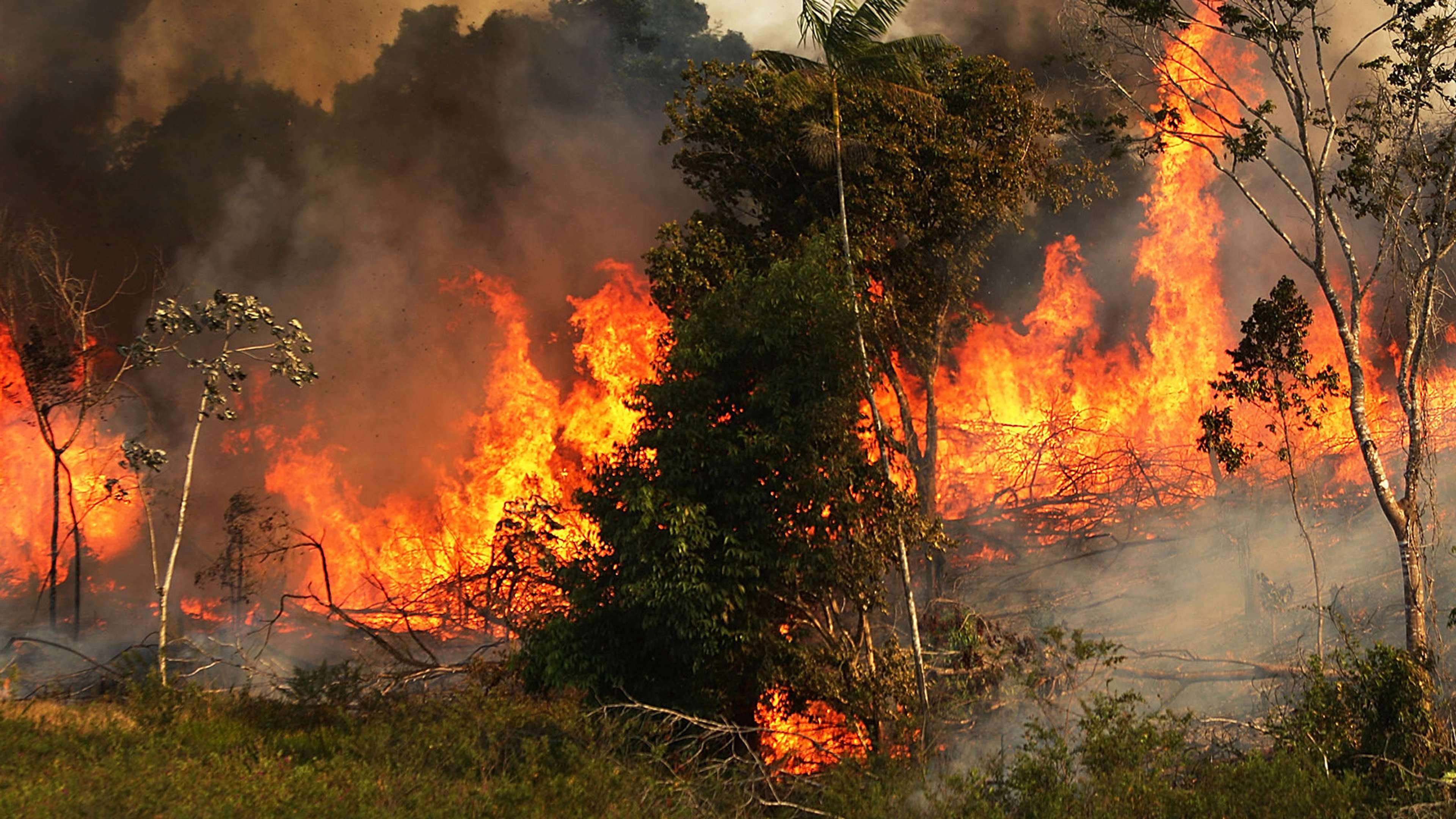 Amazônia queimadas