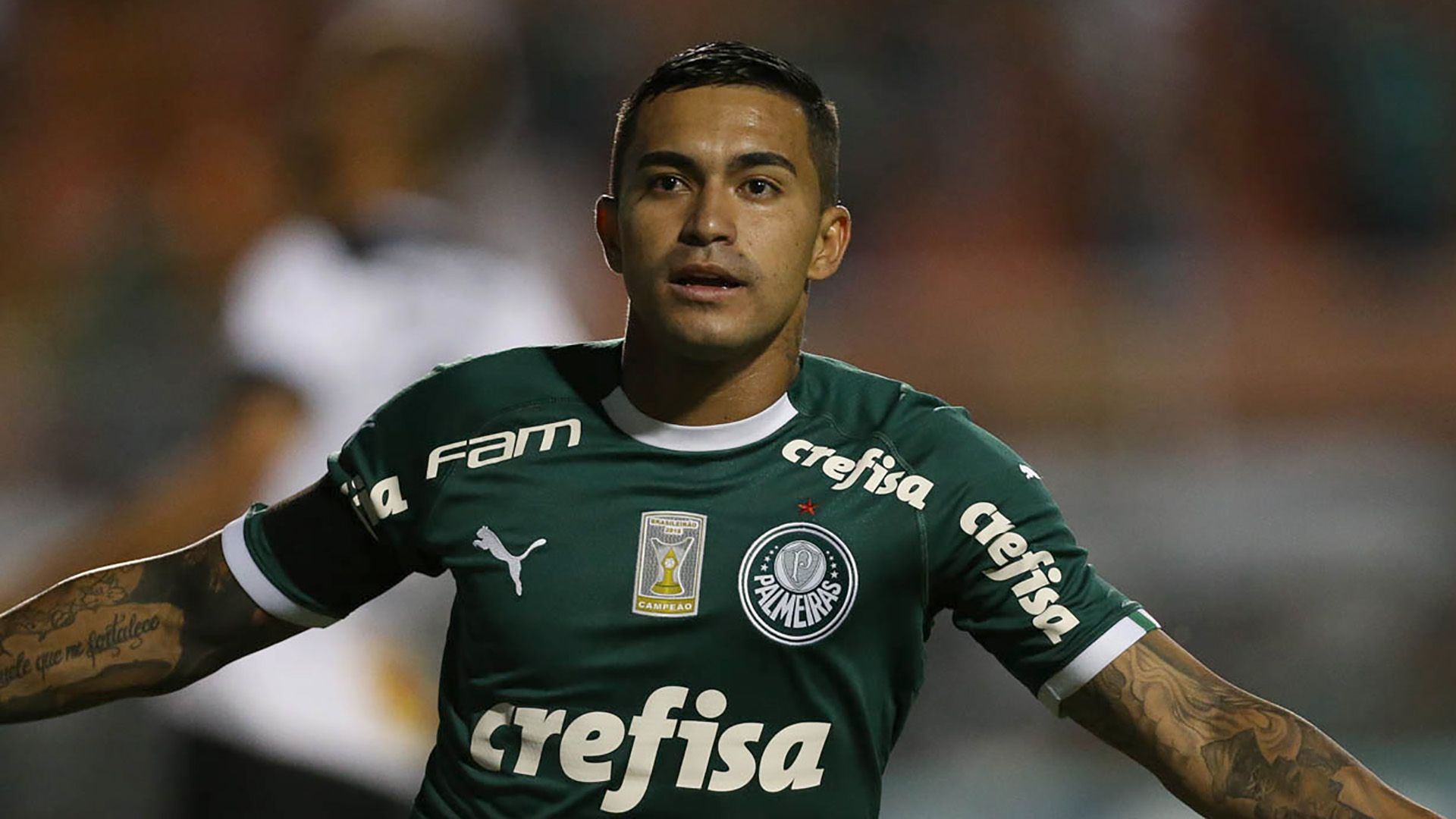 Dudu Palmeiras Bragantino Paulista 11022019