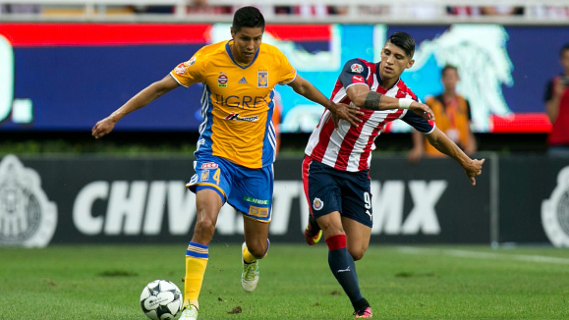 Alan Pulido, Chivas, Tigres