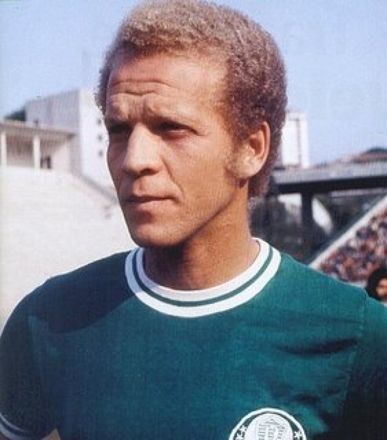 Ademir da Guia - Palmeiras