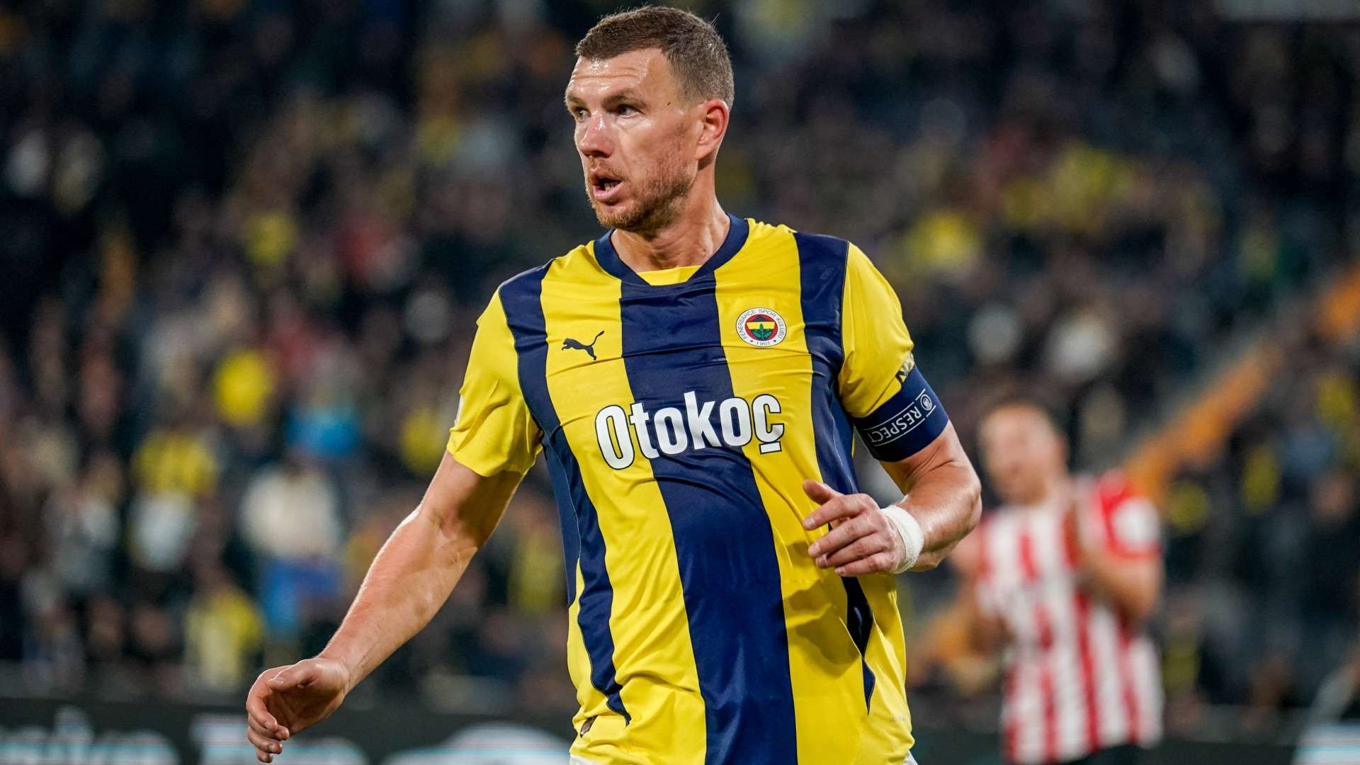 Edin Dzeko of Fenerbahce looks on during the match