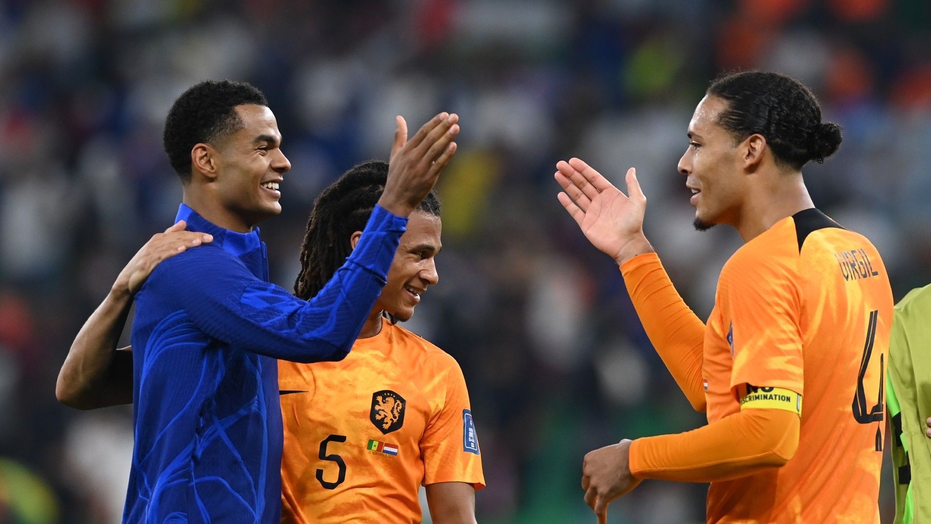 Virgil Van Dijk Cody Gakpo Netherlands 2022