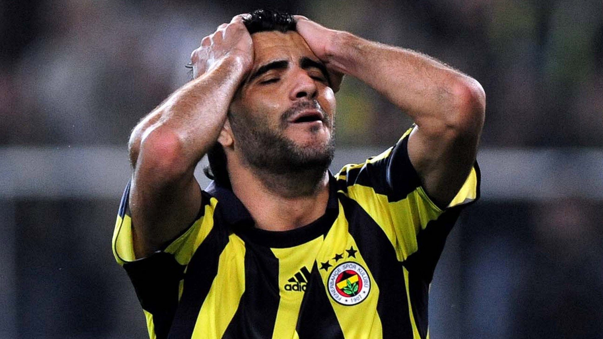 Daniel Guiza Fenerbahce