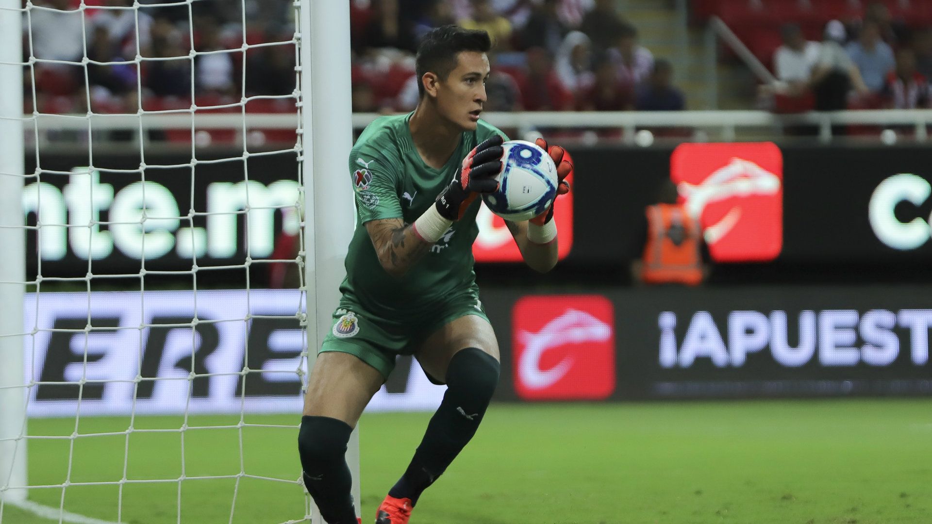 Raúl Gudiño Chivas Apertura 2019