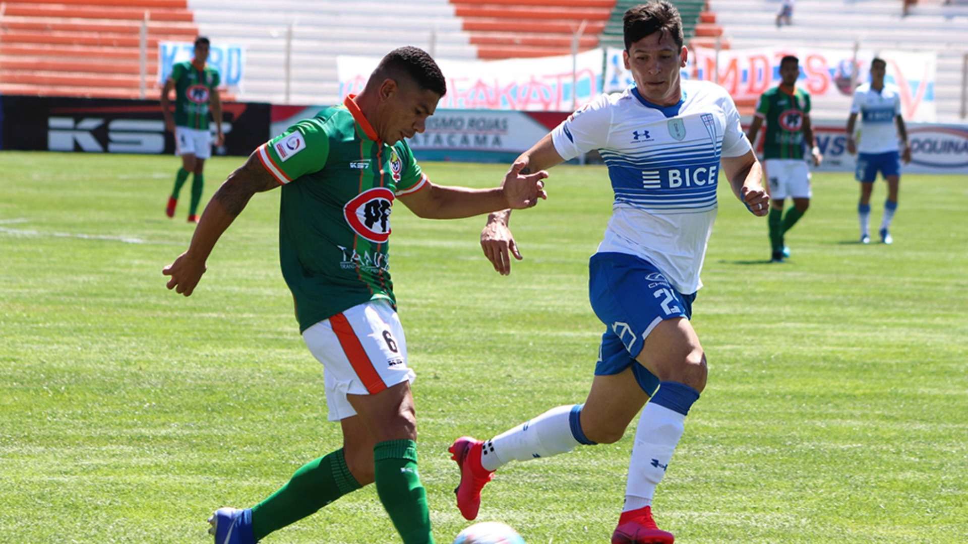 Universidad Católica