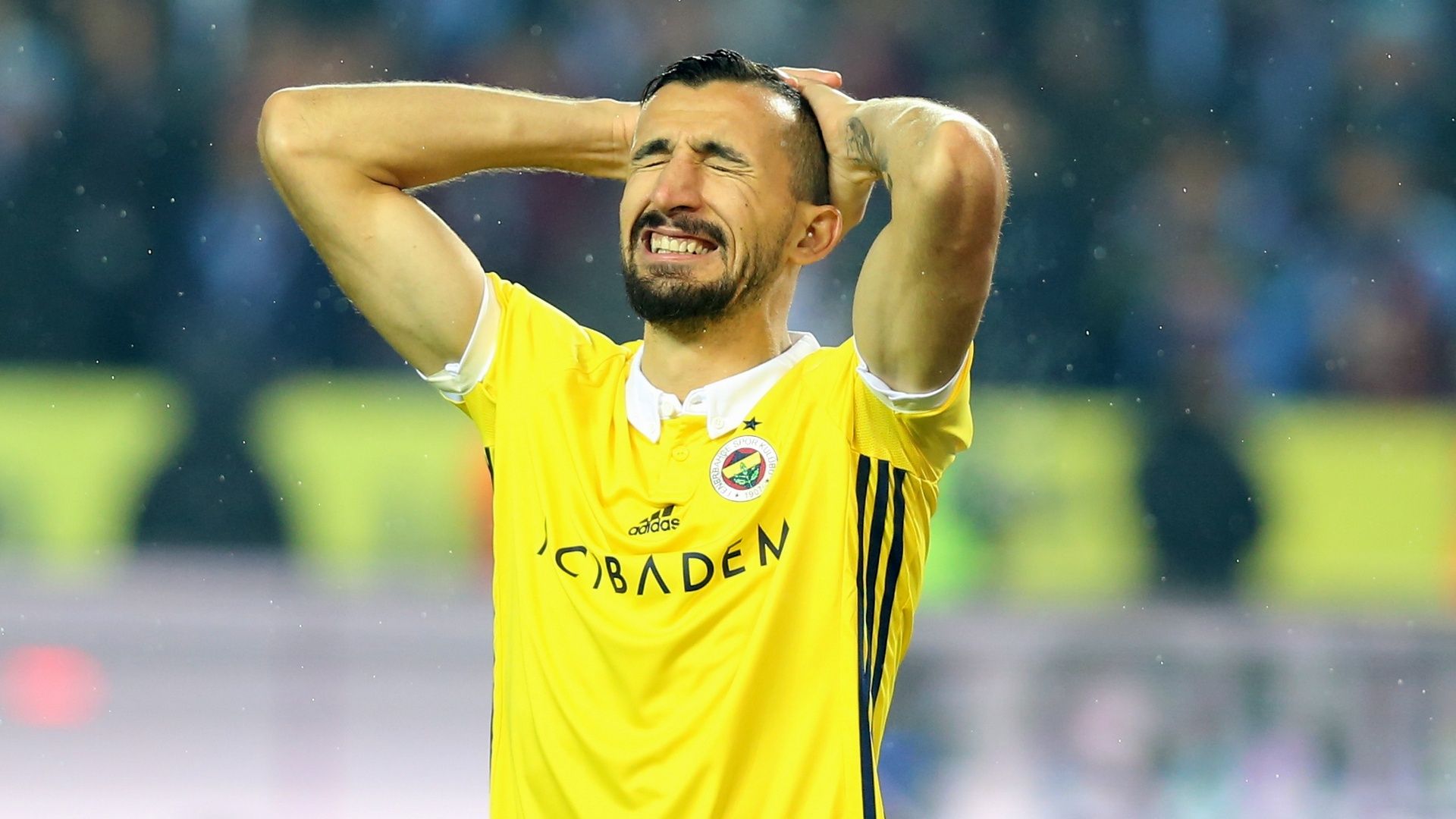 Mehmet Topal Fenerbahce