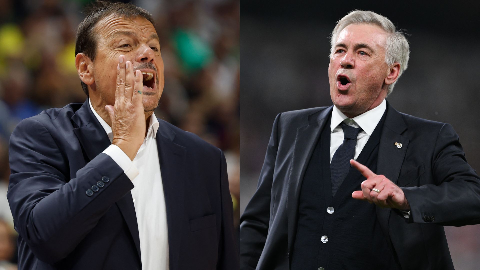 Ergin Ataman, Carlo Ancelotti