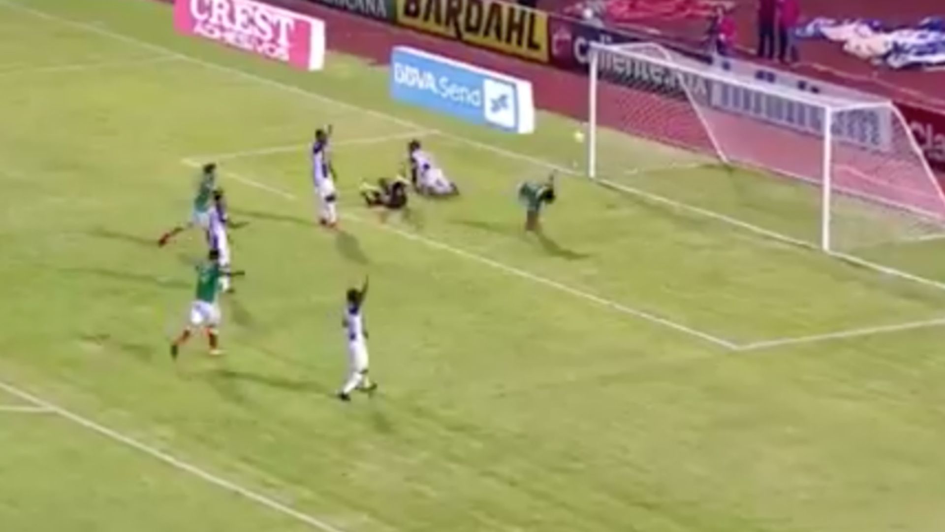 Gol Vela