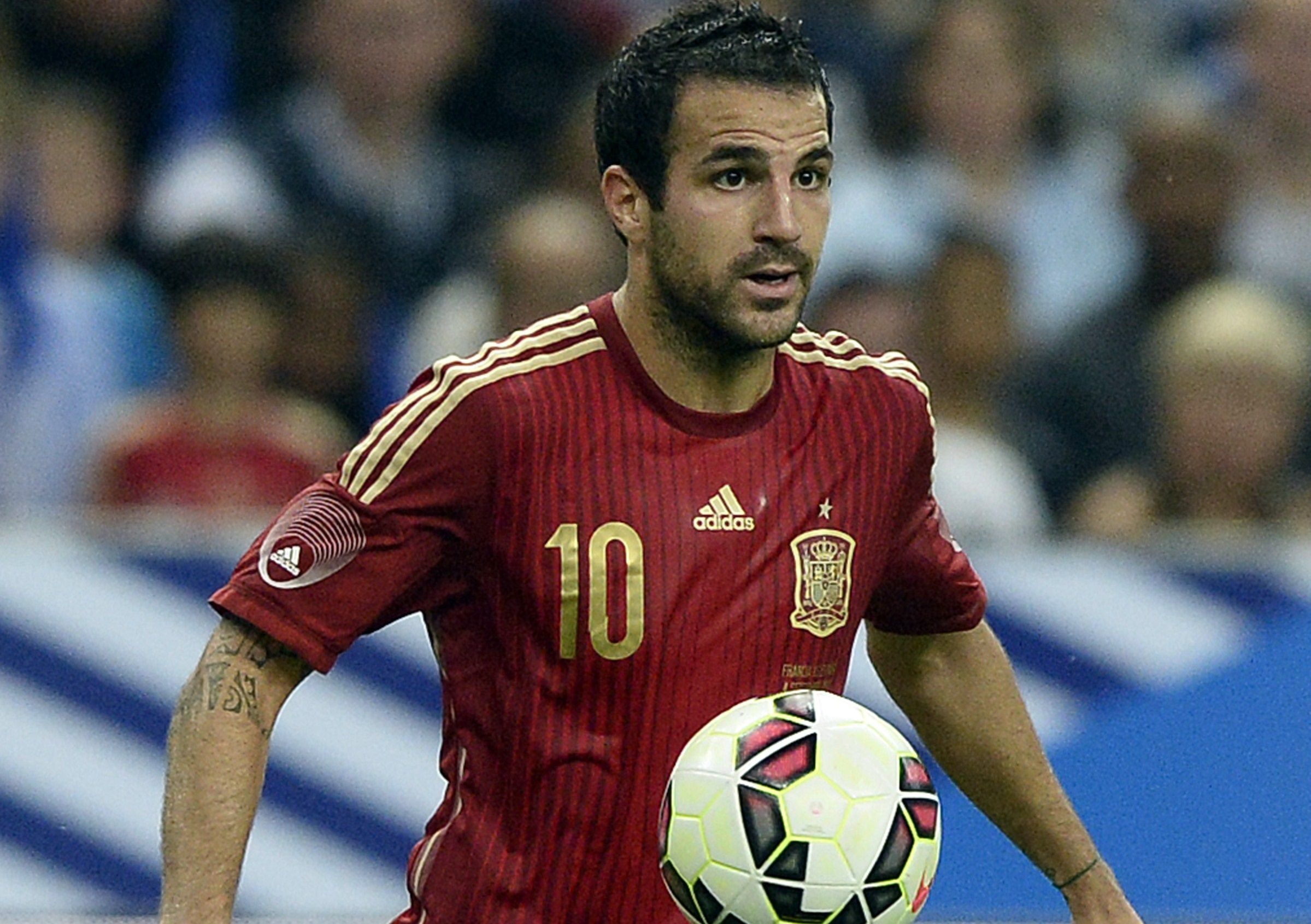 Cesc Fabregas, Spain