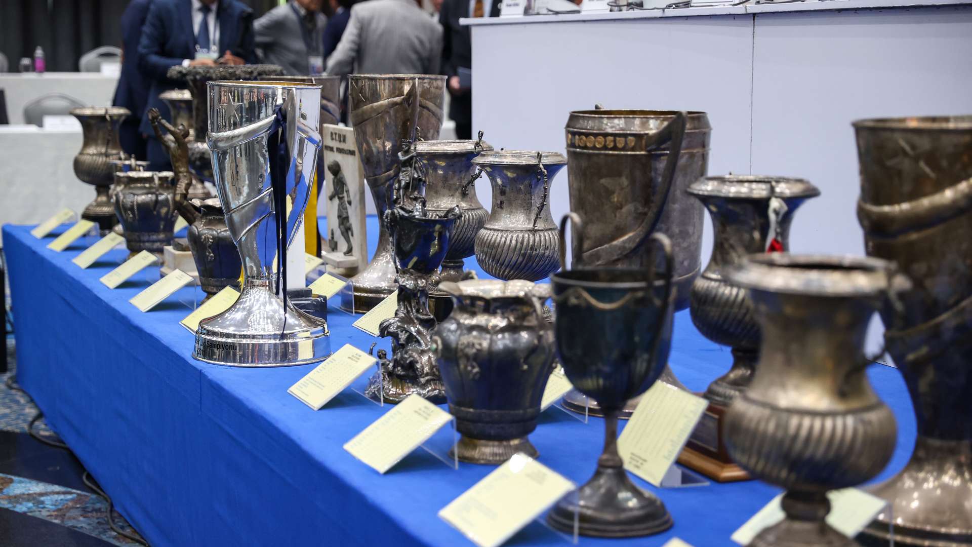 Fenerbahçe'nin kupaları