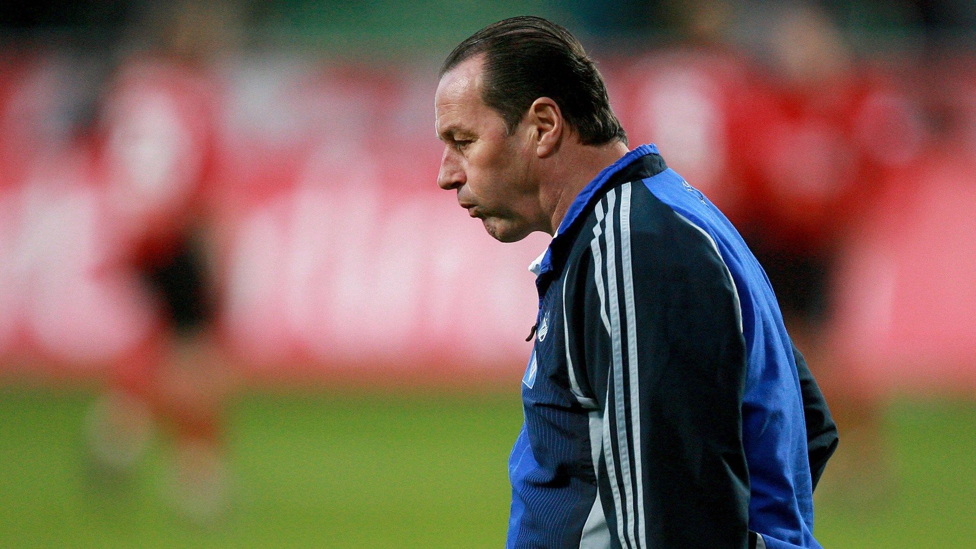 Huub Stevens Hamburger SV 