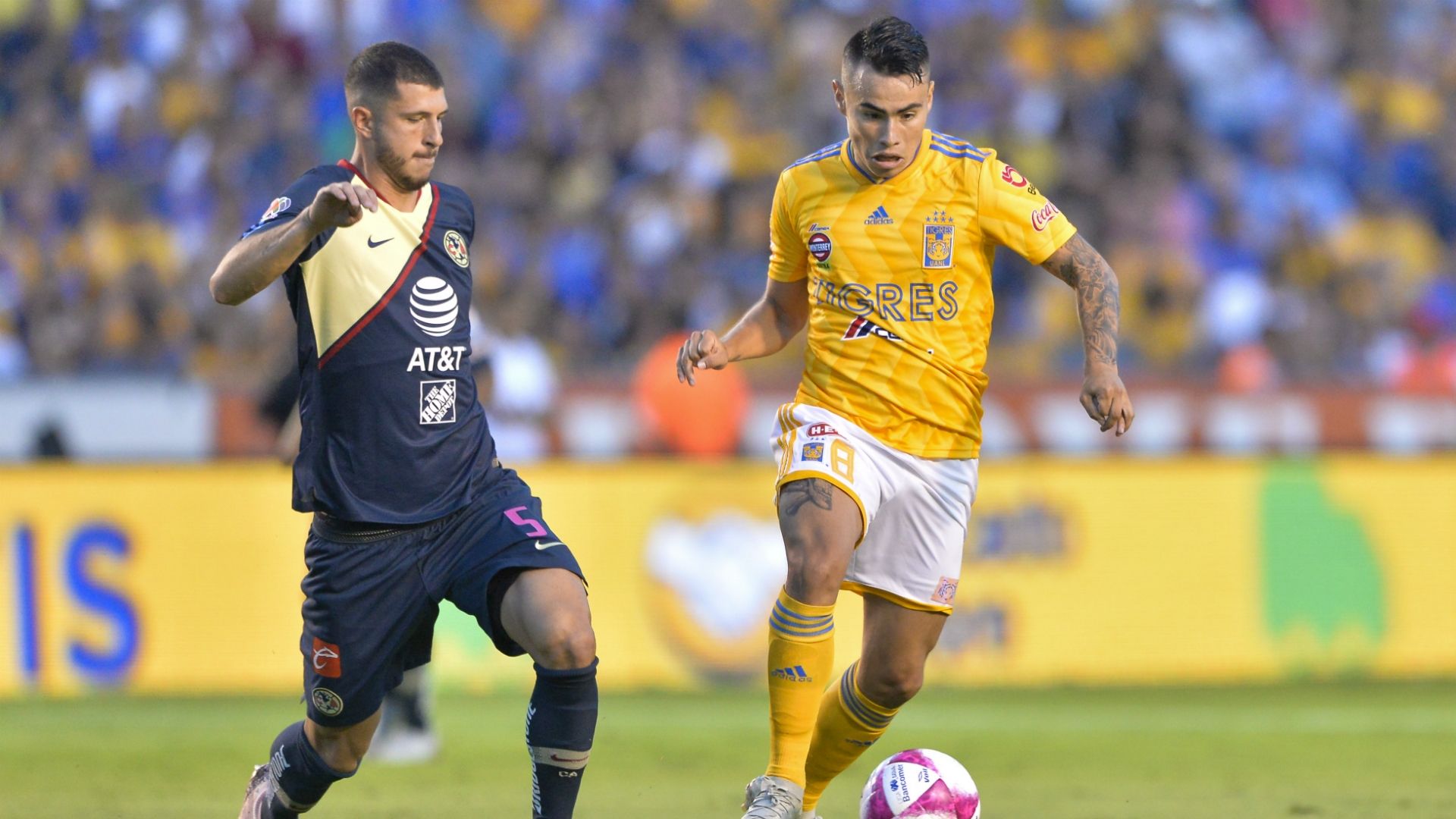 Tigres América