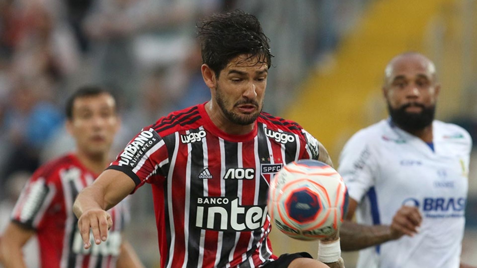 Pato Santo André São Paulo Paulista 09 02 2020