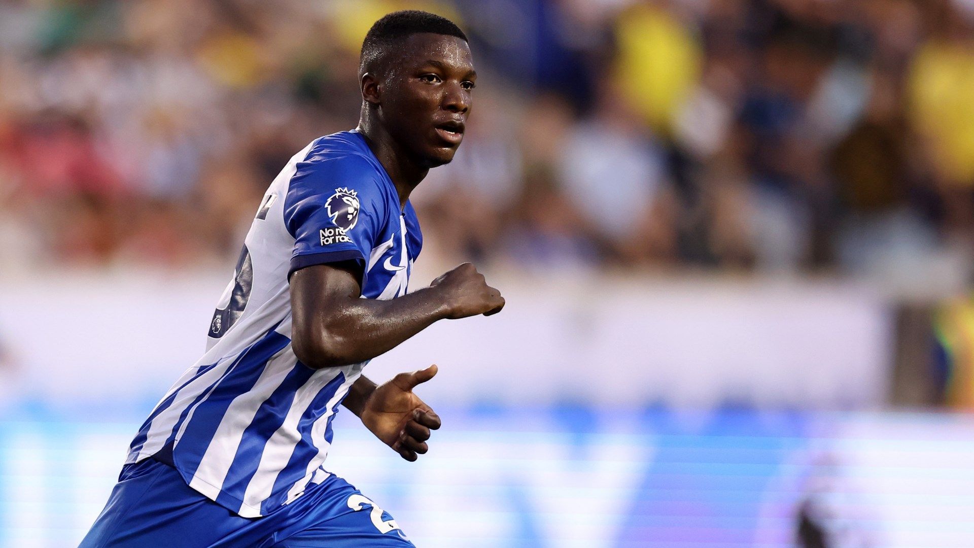 Moises Caicedo Brighton