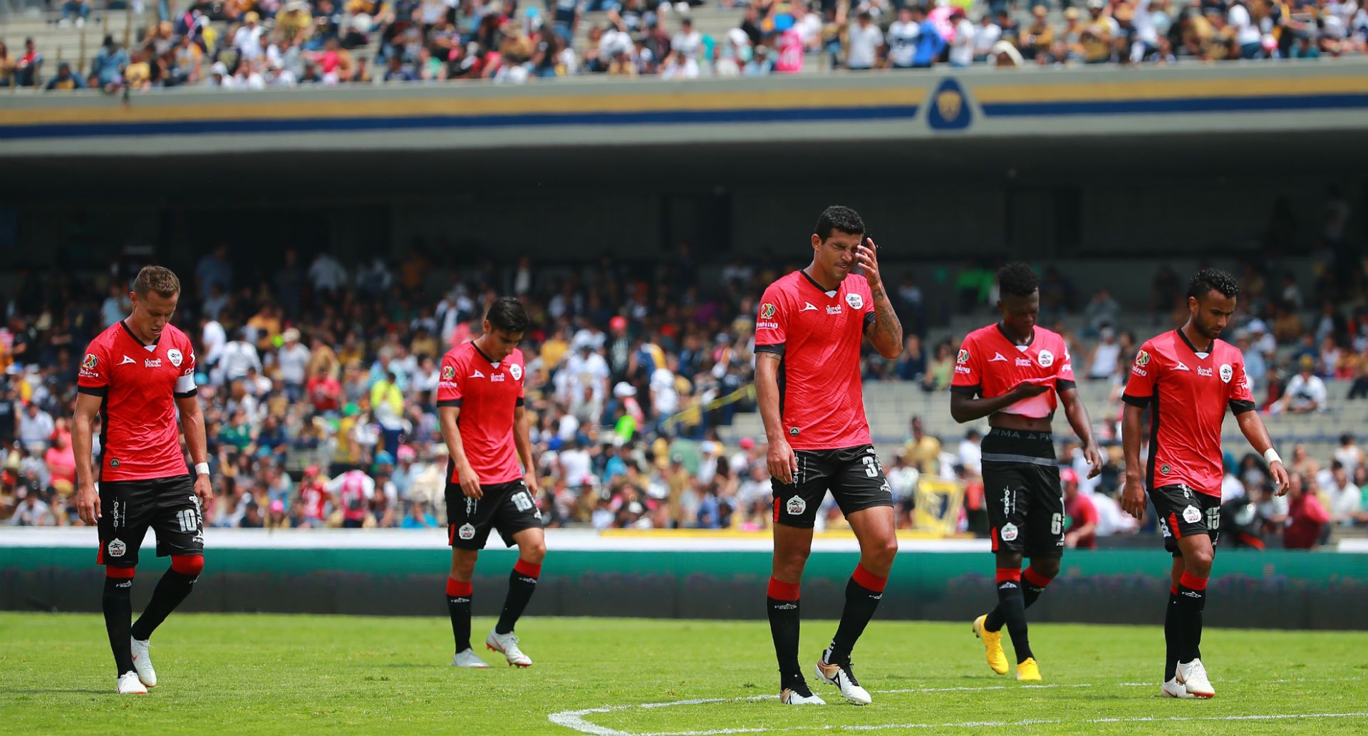 Lobos BUAP