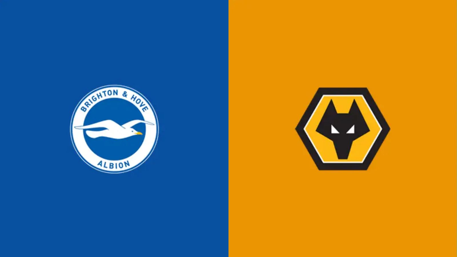 Brighton-Wolves