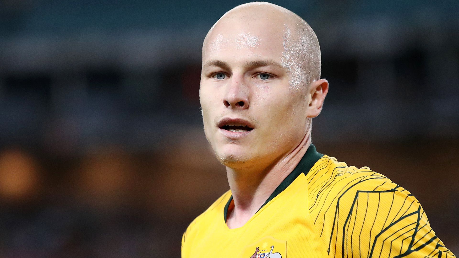 Aaron Mooy Australia 2019
