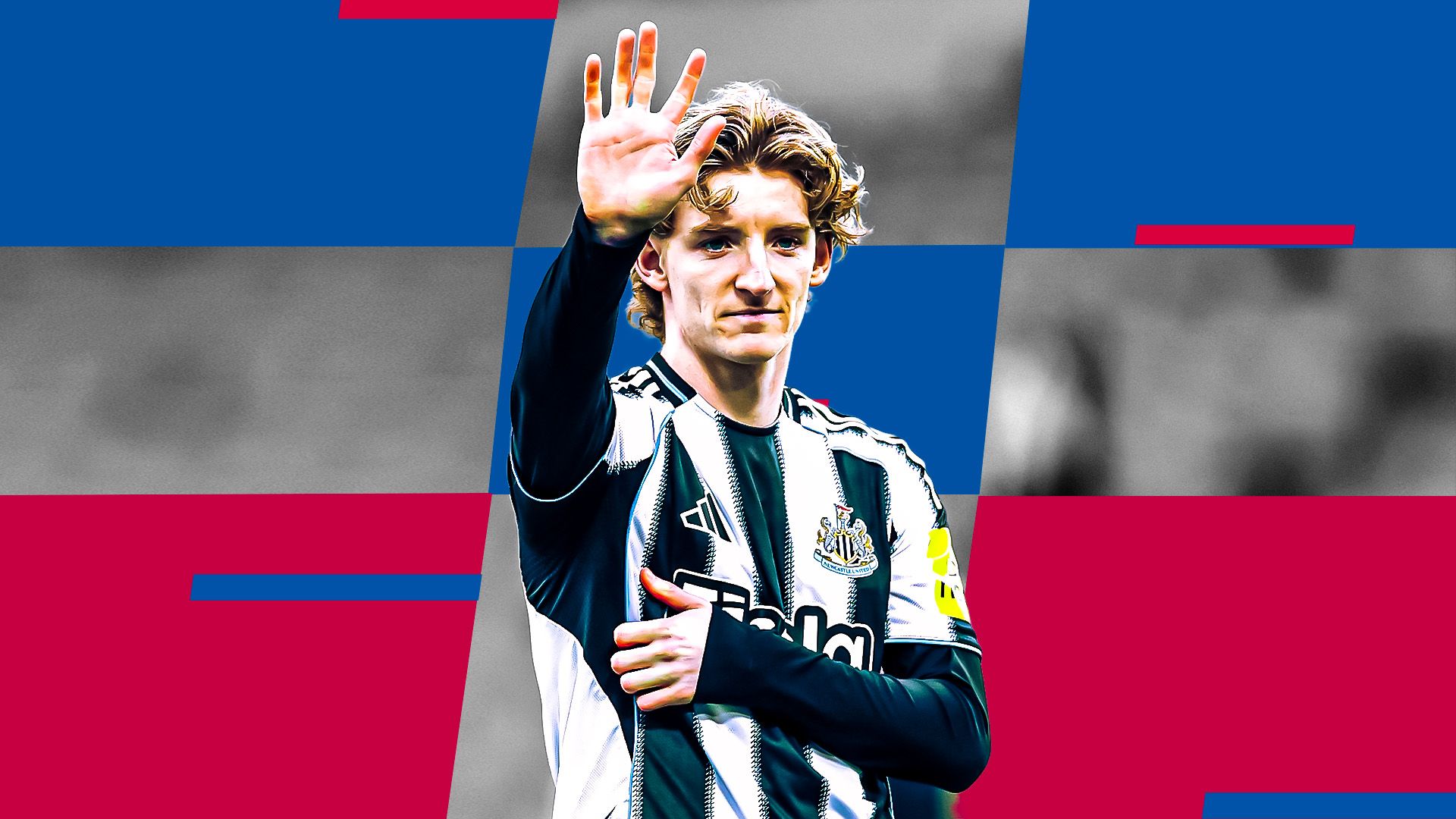 cm grafica gordon barcellona