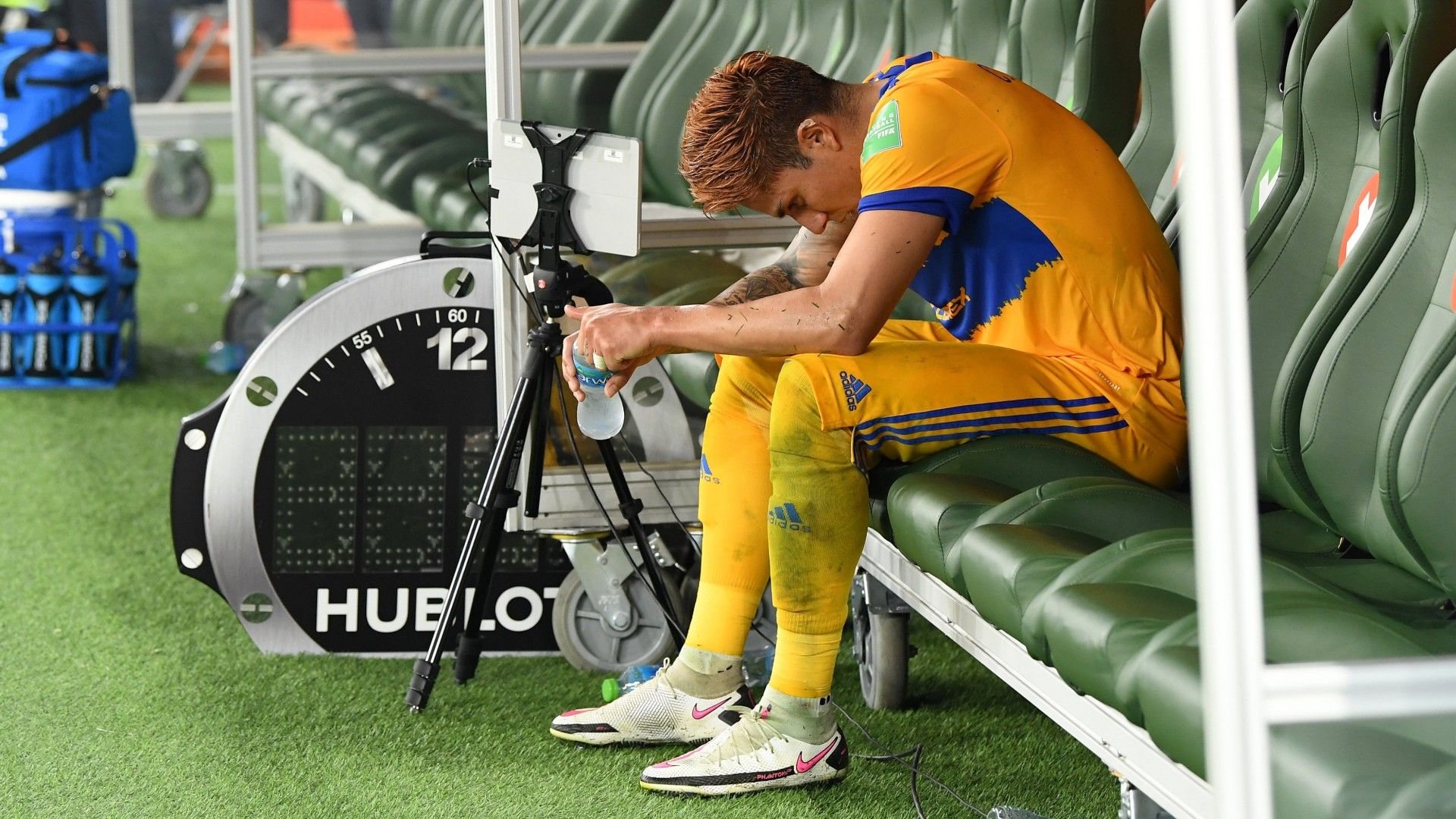 Carlos Salcedo Tigres