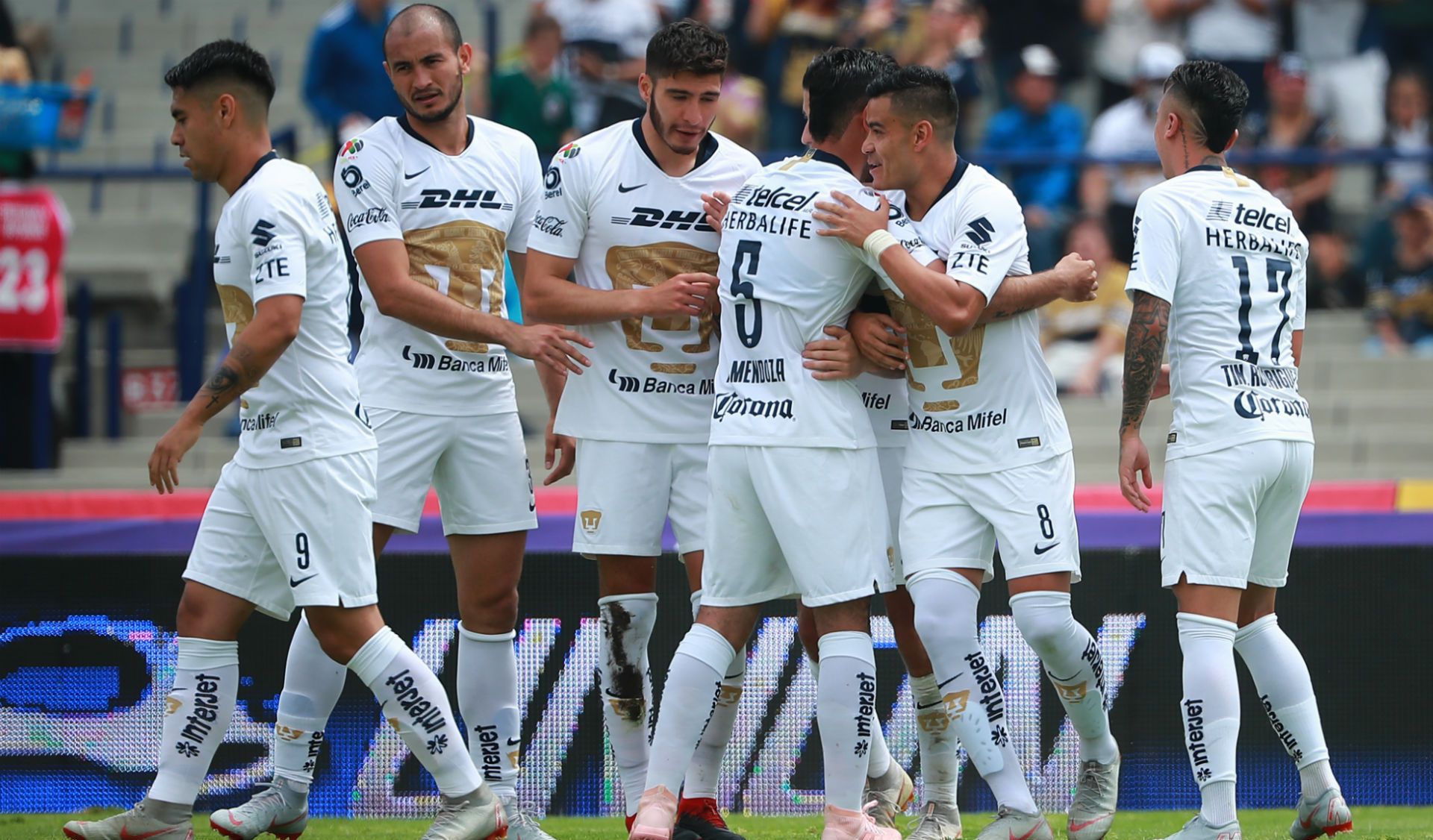 Pumas Lobos Buap