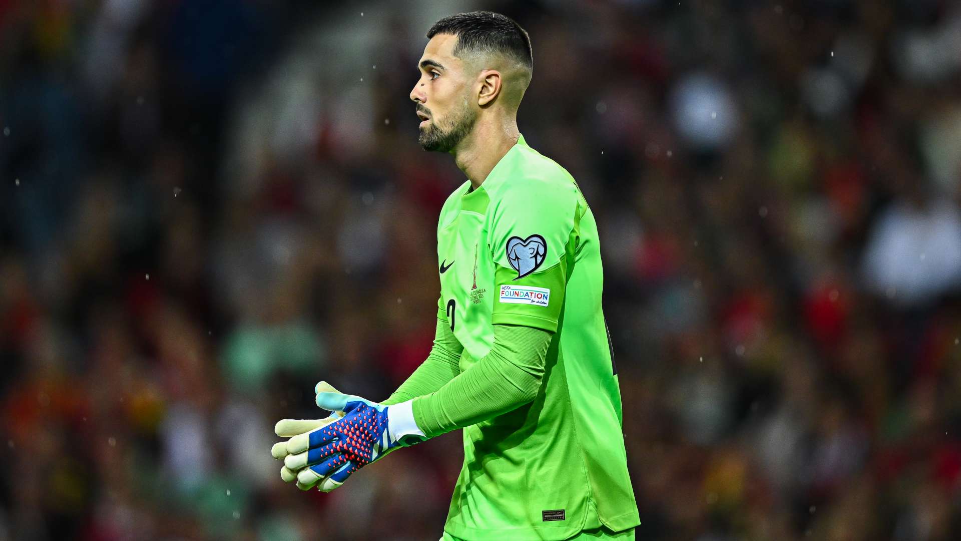 Diogo Costa Portugal 2023