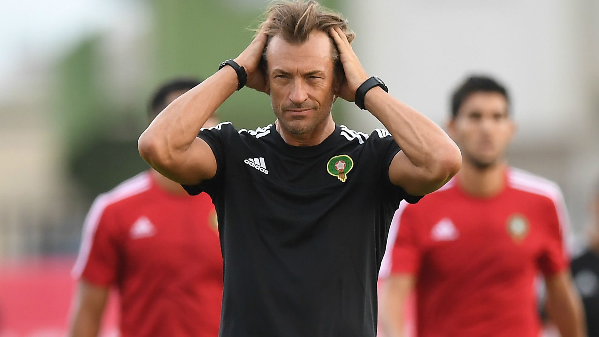 Herve Renard Morocco