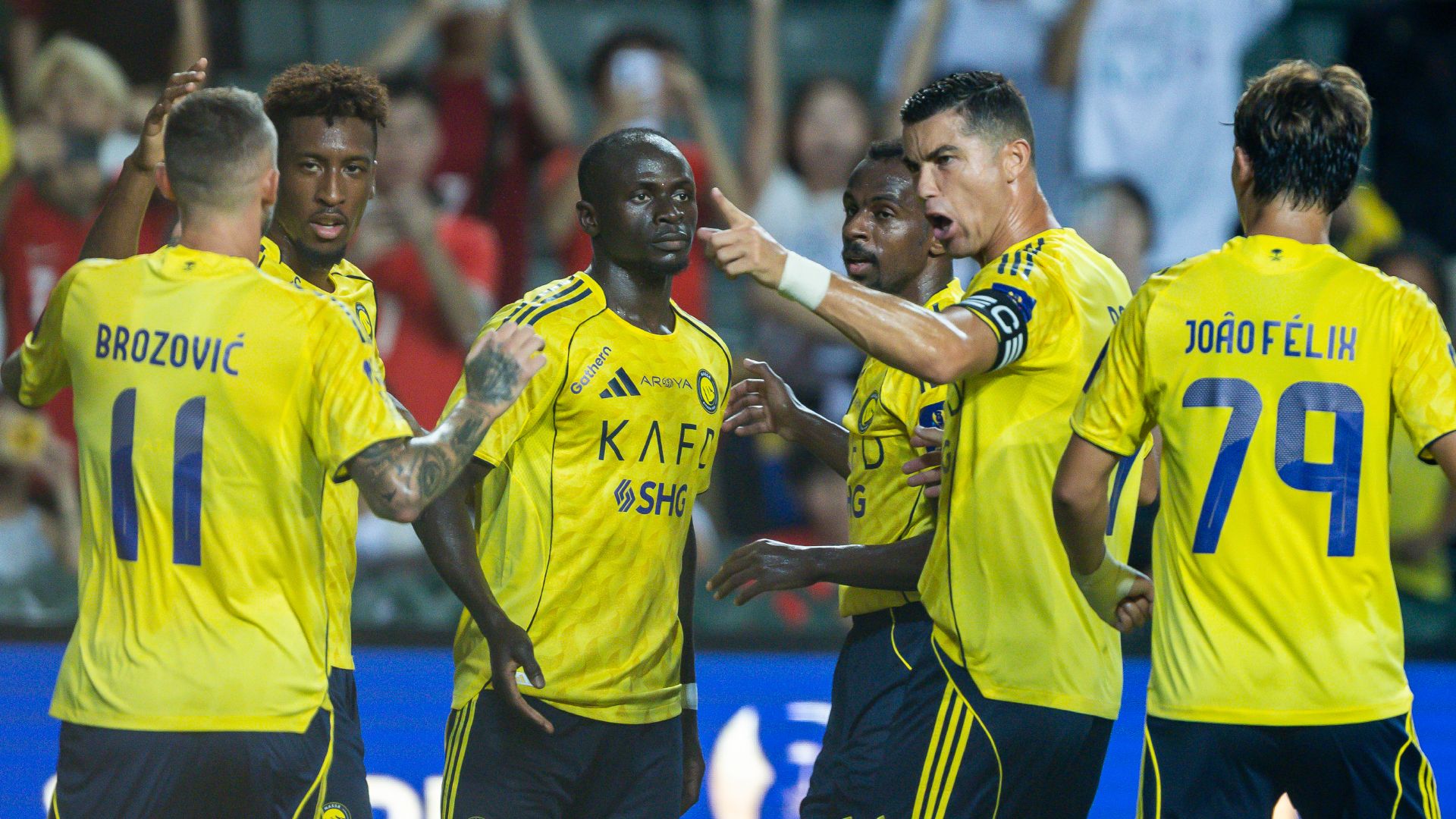 gamba_natakani_acl2_2