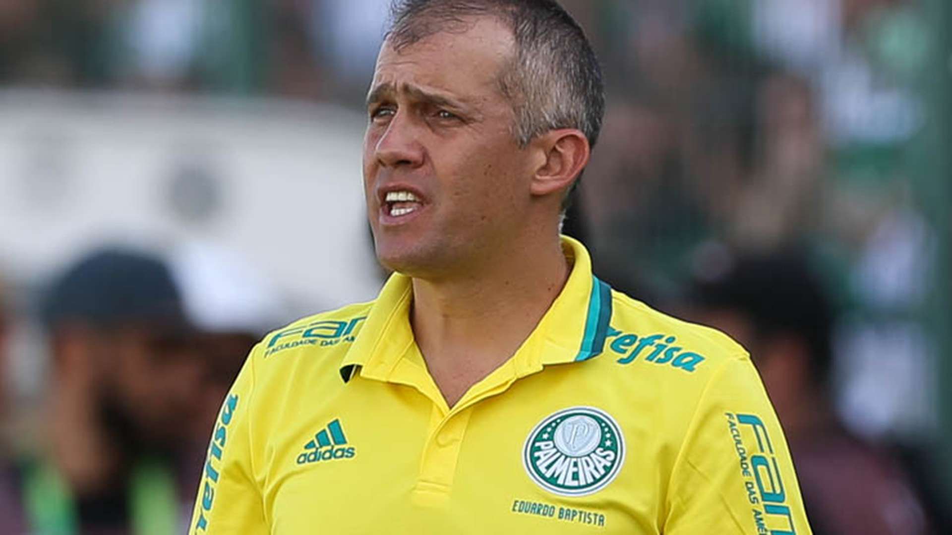 Eduardo Baptista Chapecoense Palmeiras Amistoso 21012017