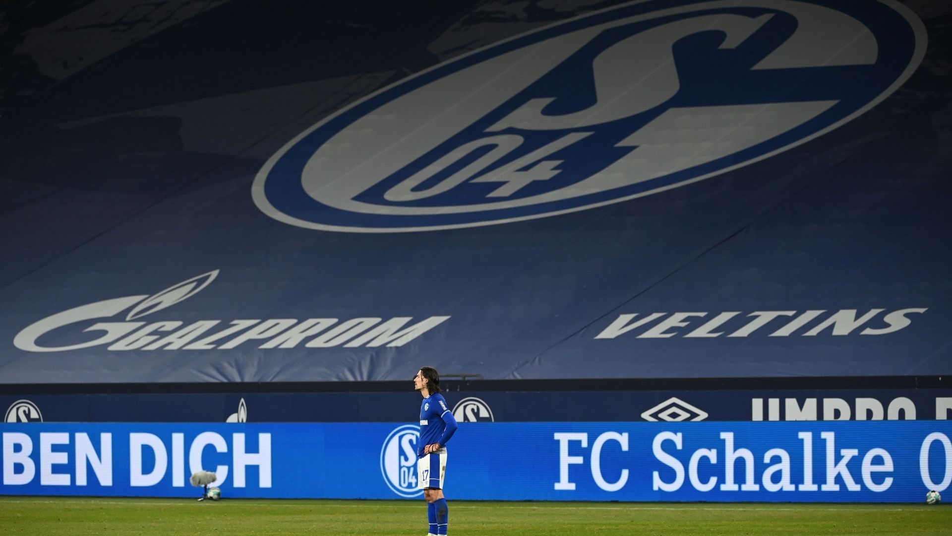 FC Schalke 04 Veltins Arena Logo 2021