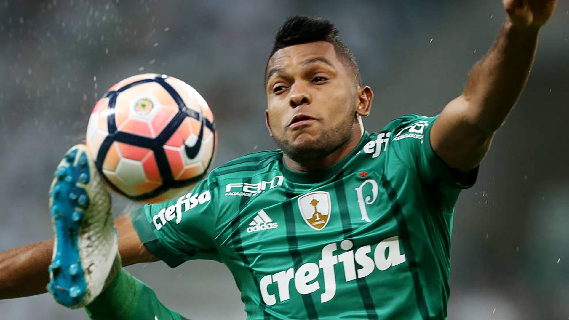 Miguel Borja Palmeiras 24052017