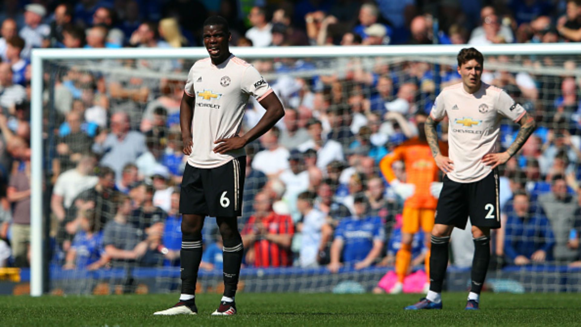 Manchester United Premier League