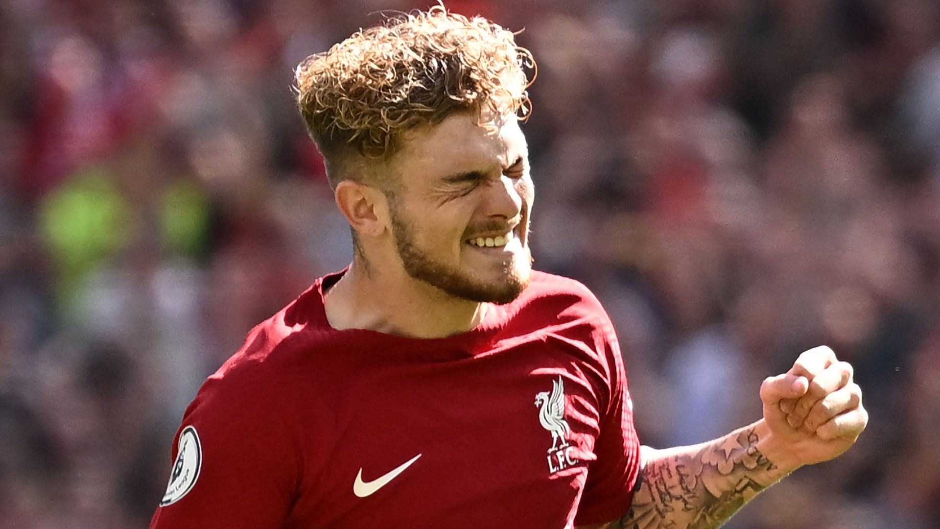 Harvey Elliott Liverpool 2022