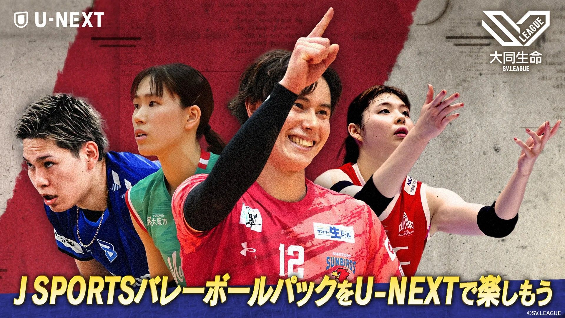 u-next j sports volleyball pack