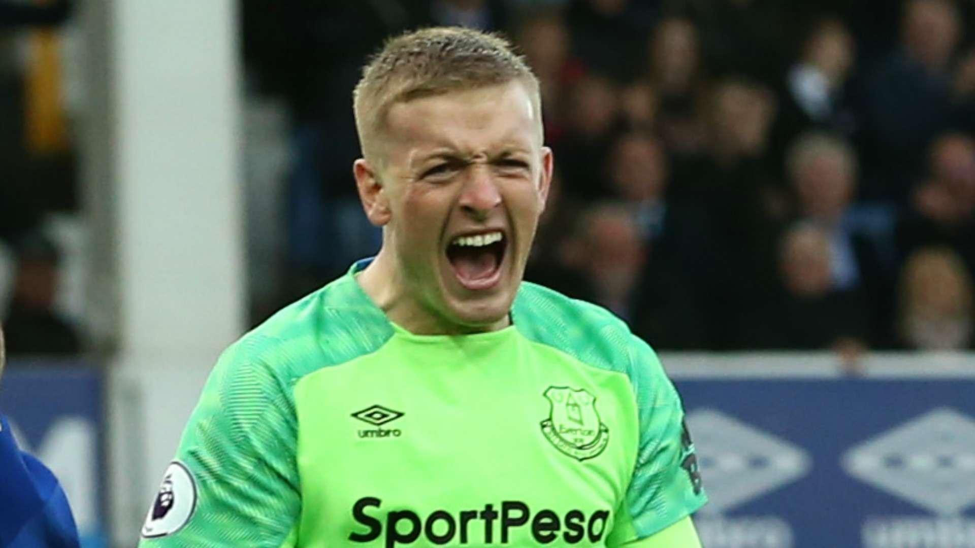 Jordan Pickford Everton 2018-19
