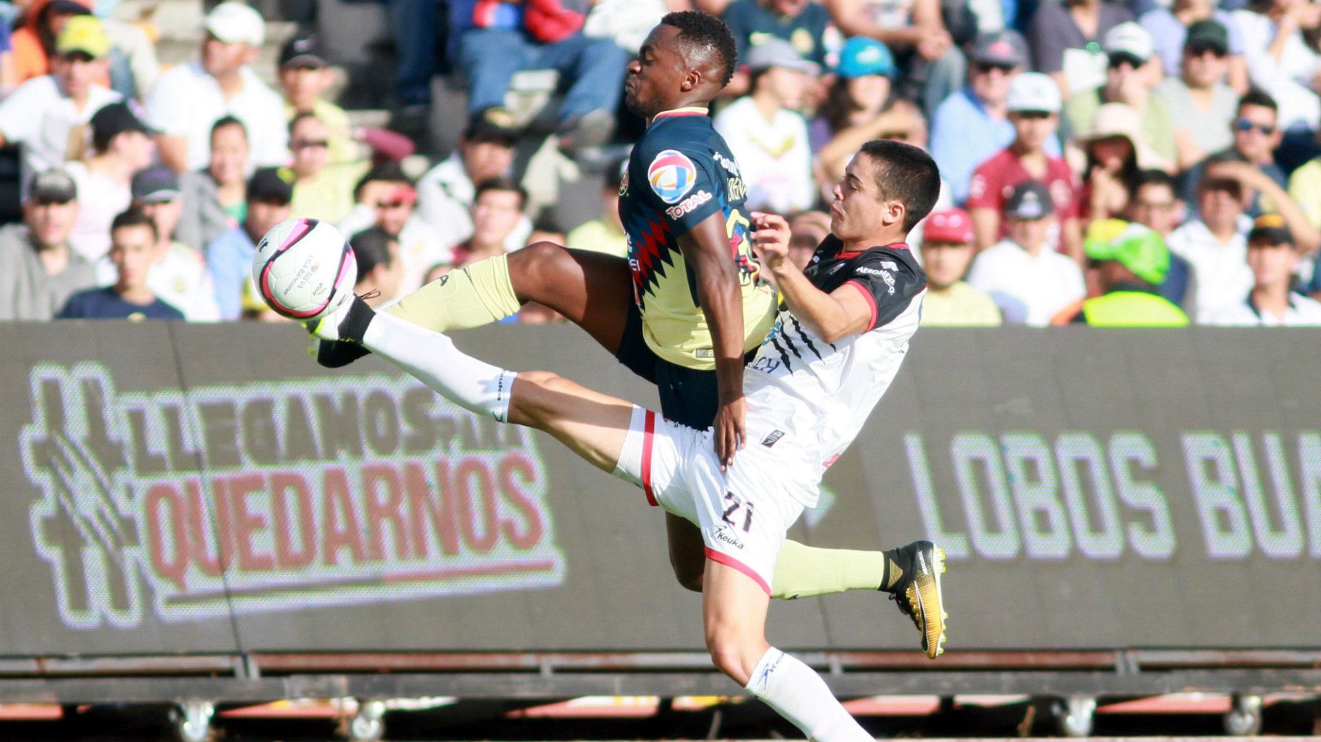 Eduardo Tercero Lobos BUAP