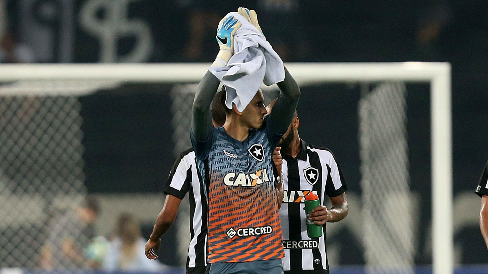 Gatito Fernández Botafogo Bahia Brasileirão 29 05 2017