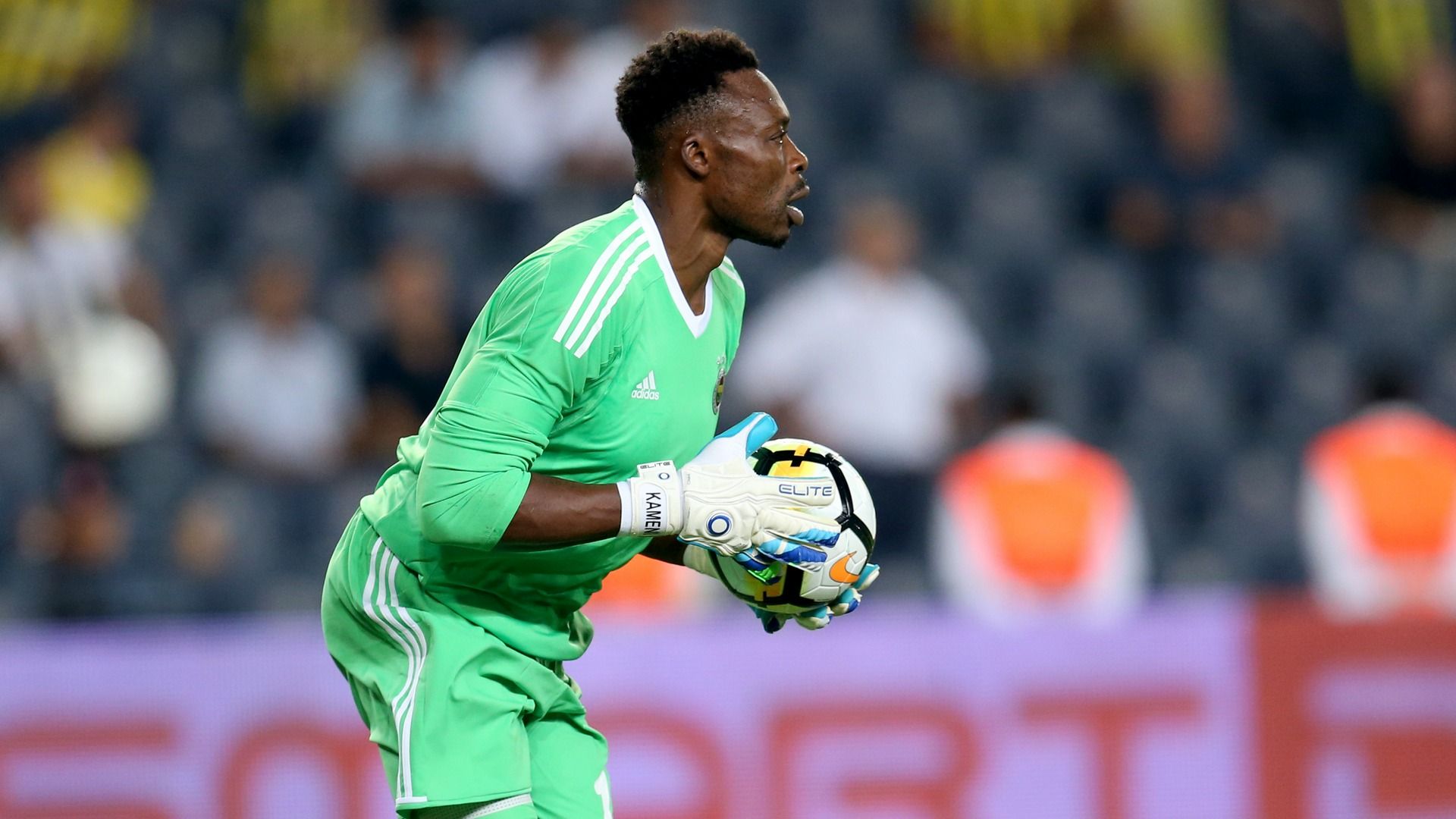 Carlos Kameni Fenerbahce