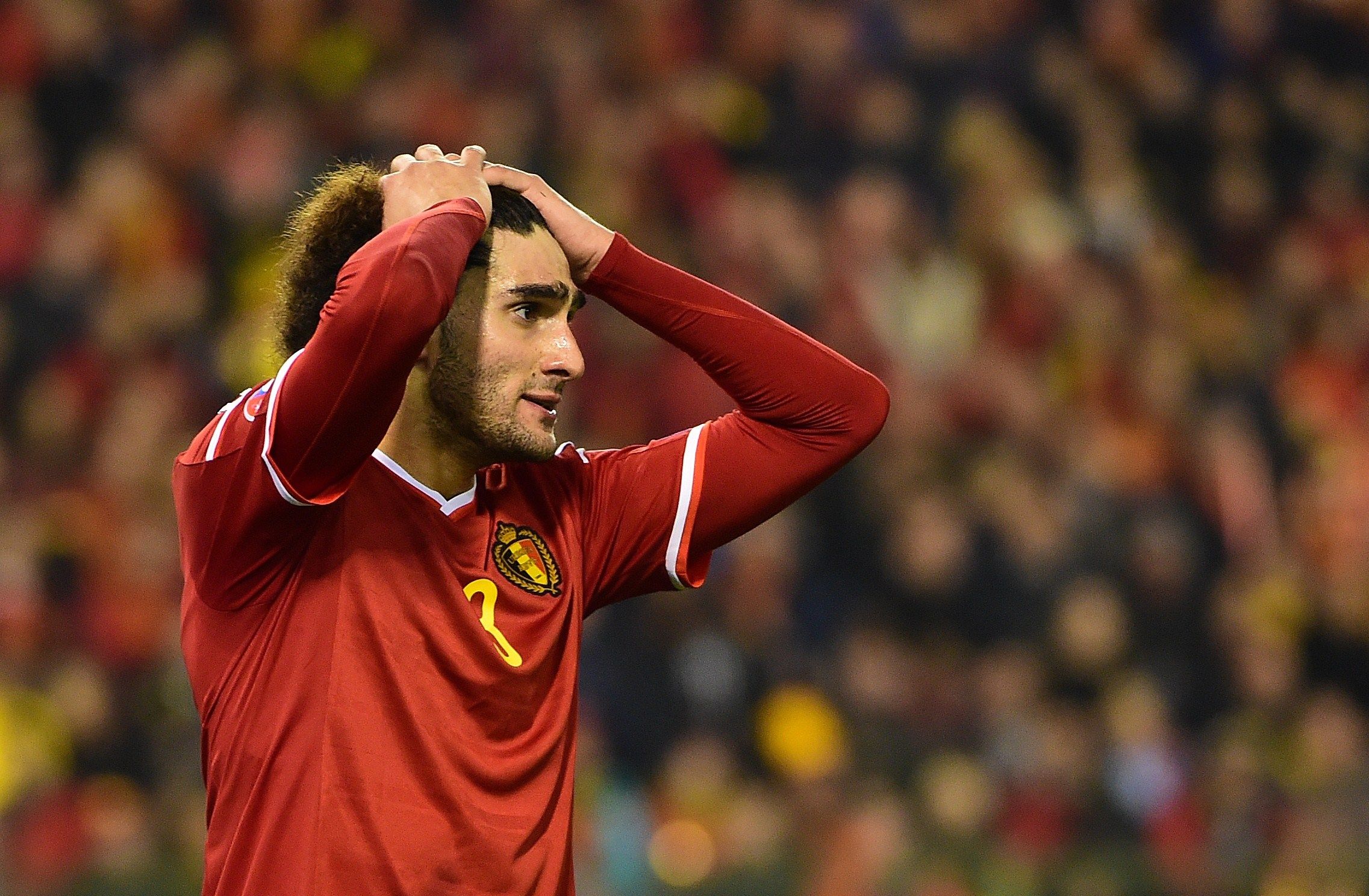 Marouanne Fellaini, Belgium