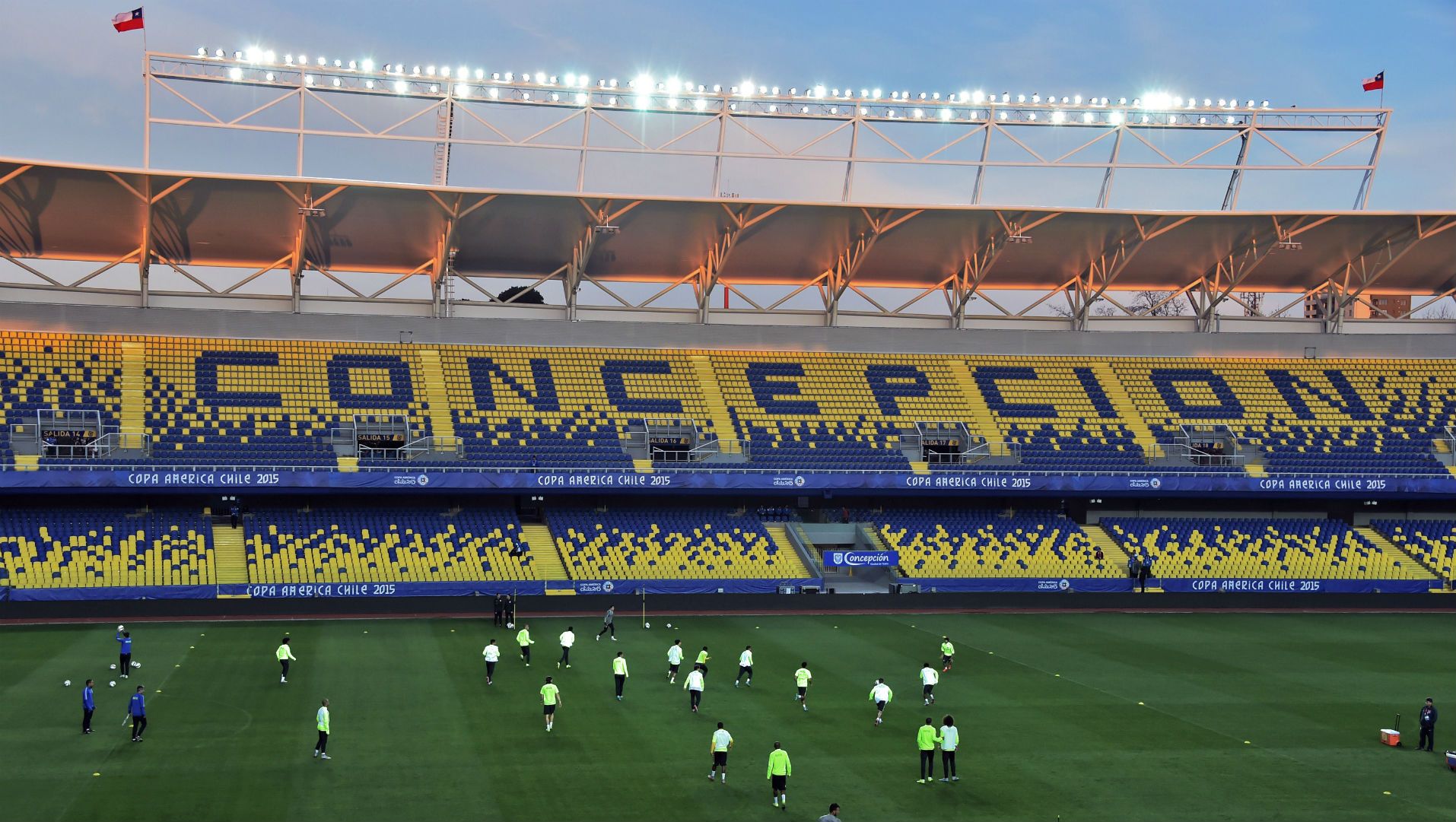 Junio 2015 Brasil Copa América Chile 2015 - Ester Roa de Concepción